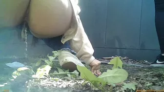 Public Piss Poster 0017