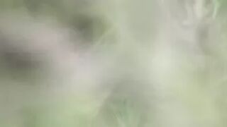 Pee Compilation 38