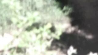 Pee Compilation 37