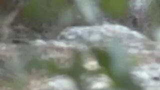 Pee Compilation 37