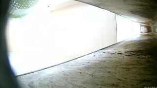 New work from the ditch toilet August 23