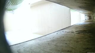 New work from the ditch toilet August 23