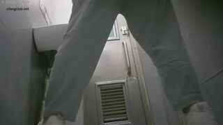 Park Toilet 8