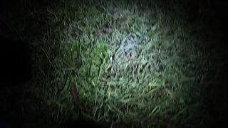 Ninounini - EAT DOG SHIT FOR CHRISTMAS (EXTREME)
