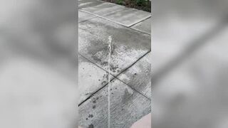 Piss-tits - I wanted to see how far I could piss