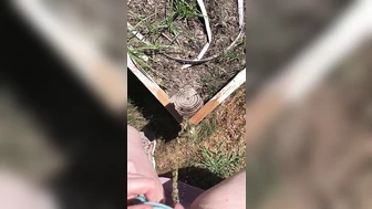 ahem6669 - The neighbor was outside doing stuff in...