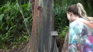 Summer Vixen - Virtual Vacation Maui 6/11