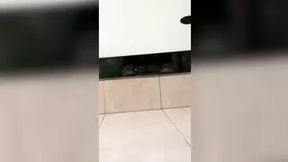 sifangktv_356