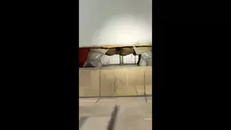 sifangktv_356