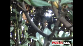 CLIP_251_Voyeurismopublicsex