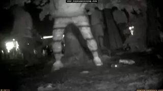 Rock Festival Summary 0088