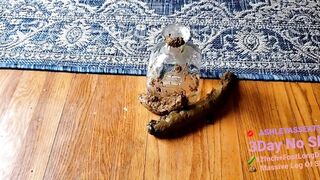 AshleyAssEats - Ashley AssEats Massive 12Inch POOPTRON Shit Logs