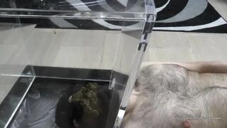 padronagaia - Mistress Gaia - Double toilet domination