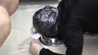 padronagaia - Mistress Gaia - Human toilet training