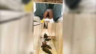 China Toilet Voyeur 1789