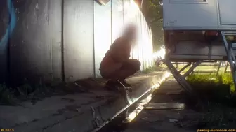 Rock Festival Summary 0090