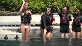 Molly Manson - Virtual Vacation Hawaii 8/8