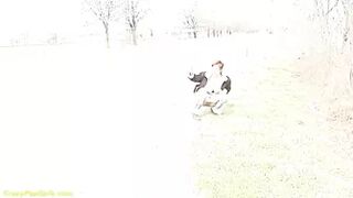 cpg_0035_20