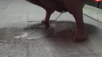 Jackybabe1 - Mallorca 2012! Full on the footpath pissed!