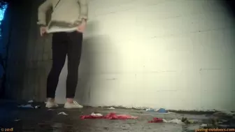 Beer Festival Summary 0051