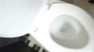 Malaysian_Toilets