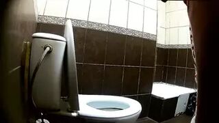 Hidden Toilet-141