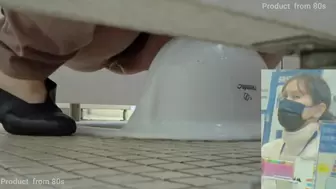 15380772 HD Japanese Toilet Style.233