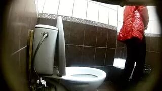 Hidden Toilet-128