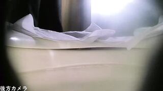 15390848 Mountain public toilet, 2 turtles ⑫