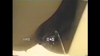 15355476 Nagoya  Li Toilet