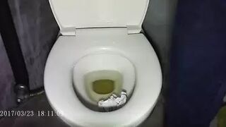 15380159 Mountain toilet, beauty edition ㉛