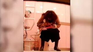 15380718 Uncensored latest Western style toilet department store Ⅱ