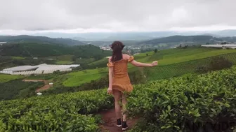 JasmineJ9966 - Windy Hill