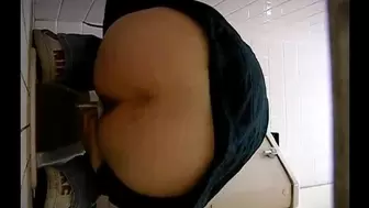 15255988 Japanese toilet style.Part.087