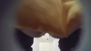 Bio toilet in the Park-71 2021