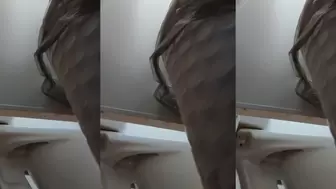 Toilet in the clinic-21 2020 New