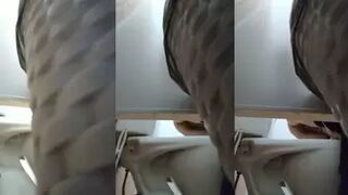 Toilet in the clinic-25 2020 New