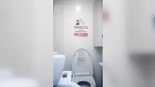 japanese wc