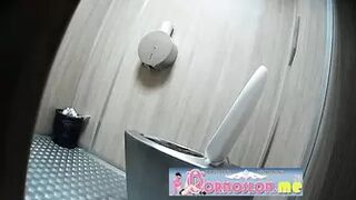 Publictoiletsl74 vol 739