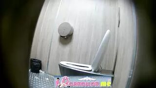 Publictoiletsl74 vol 730