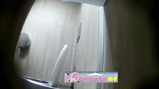 Publictoiletsl74 vol 705