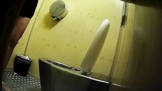 Publictoiletsl74 vol 610