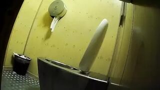 Publictoiletsl74 vol 609