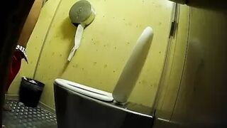 Publictoiletsl74 vol 606