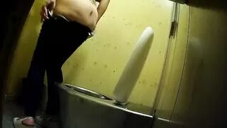 Publictoiletsl74 vol 591