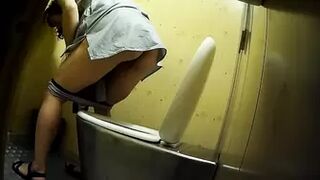 Publictoiletsl74 vol 589