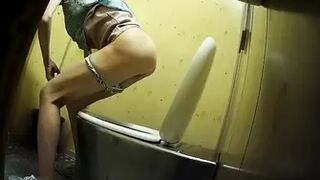 Publictoiletsl74 vol 588