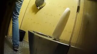Publictoiletsl74 vol 585
