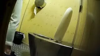 PublictoiletSL74 vol 557