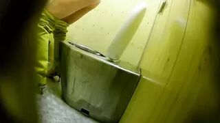 PublictoiletSL74 vol 540